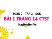 Bài 1 trang 14 Toán 7 Tập 2 Chân trời sáng tạo